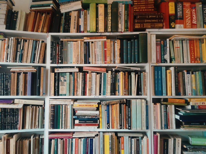 Organising Your DVD Collection: Systems That Actually Work